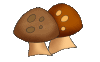 hb-mushroom