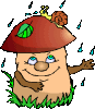 k-mushroom2